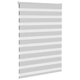 Vidaxl Zebra Rouleau aveugle 105x100 cm Largeur de tissu 100,9 cm gris clair