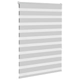 Vidaxl Zebra Roller Blind 105x150 CM Tygbredd 100,9 cm ljusgrå