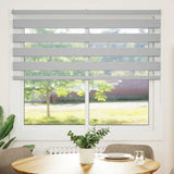 Vidaxl Zebra Roller Blind 165x150 cm Staubbreite 160,9 cm hellgrau