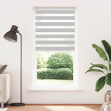 Vidaxl Zebra roller blind 105x200 cm Fabric width 100.9 cm light gray