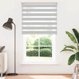 Vidaxl Zebra Roller Blind 125x200 cm Stoffbredde 120,9 cm lysegrå