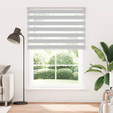 Vidaxl Zebra roller blind 165x230 cm Fabric width 160.9 cm light gray