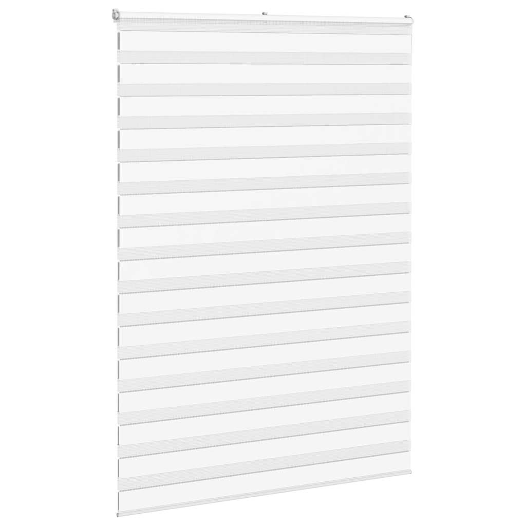 Vidaxl Zebra Rouleau aveugle 165x200 cm Largeur de poussière 160,9 cm Polyester blanc