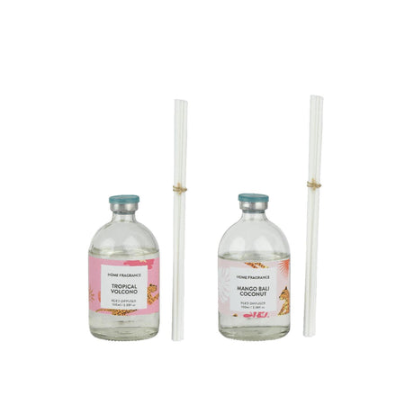 Decoris diffuser glas in koker 100ml ø6,5xh18,5cm 2 assorti