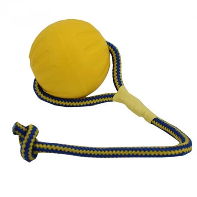 Starmark Swing 'n Fing Durafoam Fetch Ball sul cavo