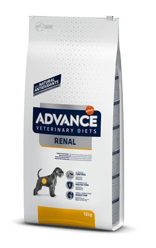 Advance les reins rénaux de chien vétérinaire