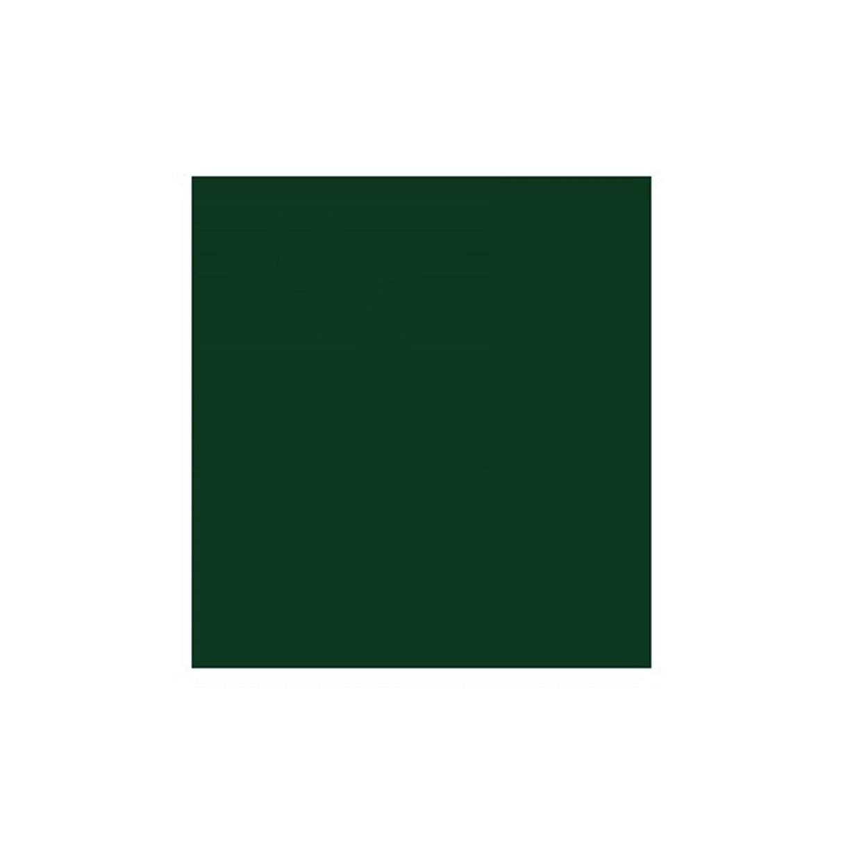 Photo cardboard 25 sheets 70x50cm dark green