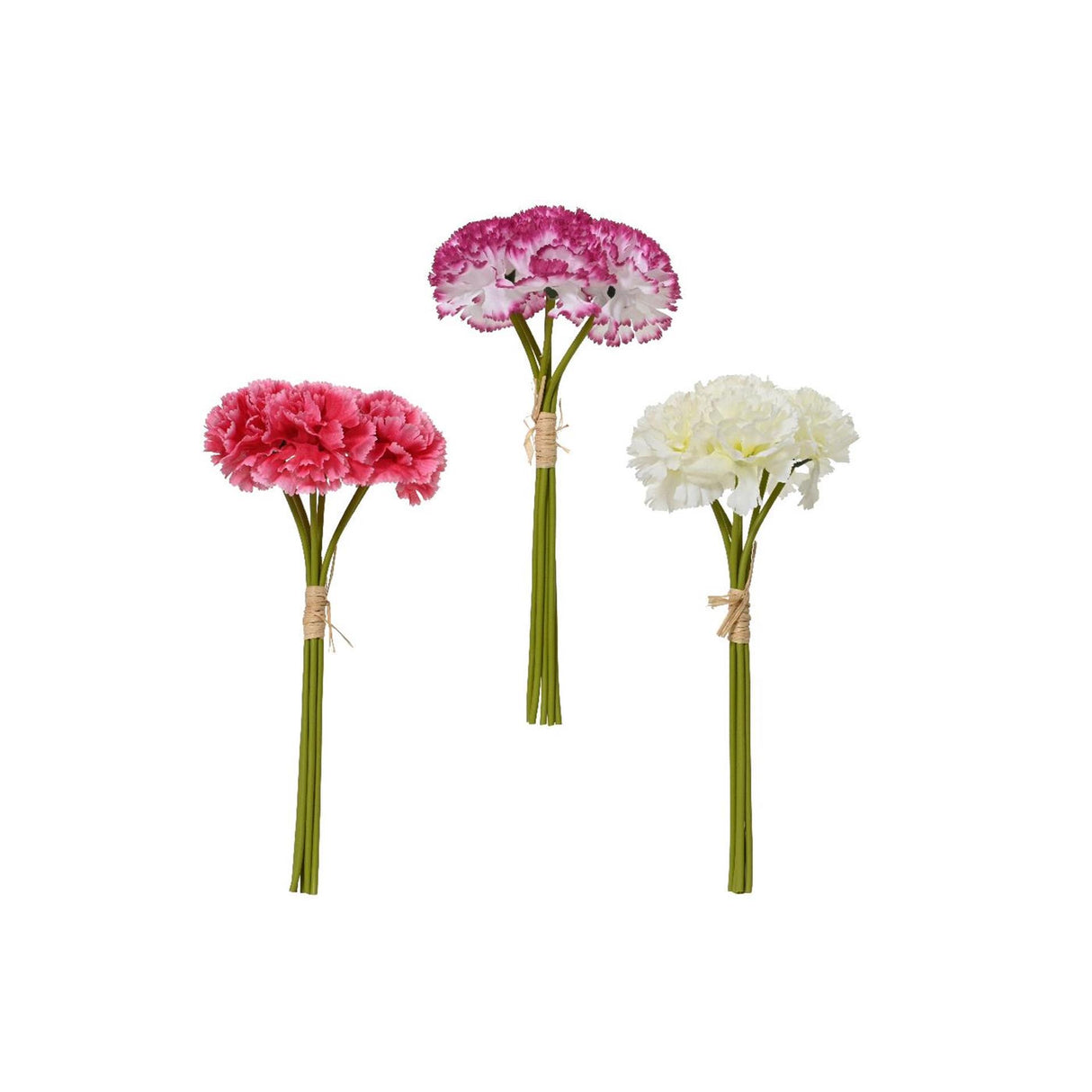 Decoris