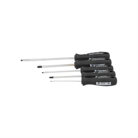 Screwdriver set 5 plunge