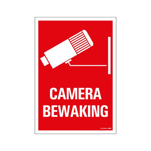 Camera surveillance board - 230x330 mm.