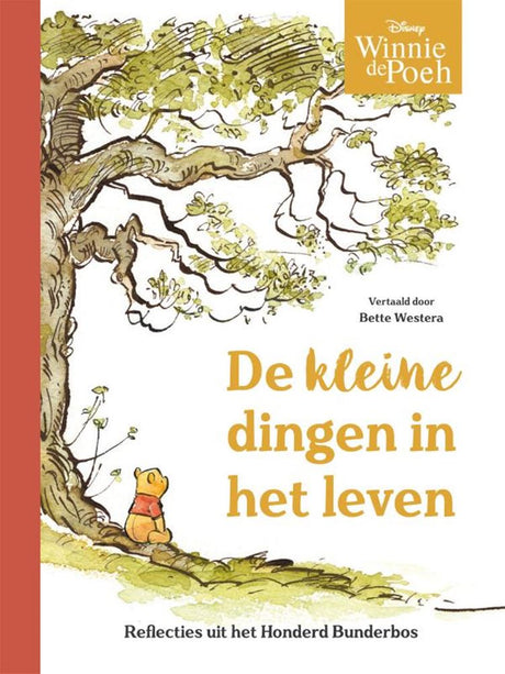 Rubinstein Winnie the Pooh: Die kleinen Dinge im Leben. Reflexionen aus dem hundert Hektar großen Wald