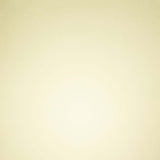Tonic Studios • vellum paper pearled gold