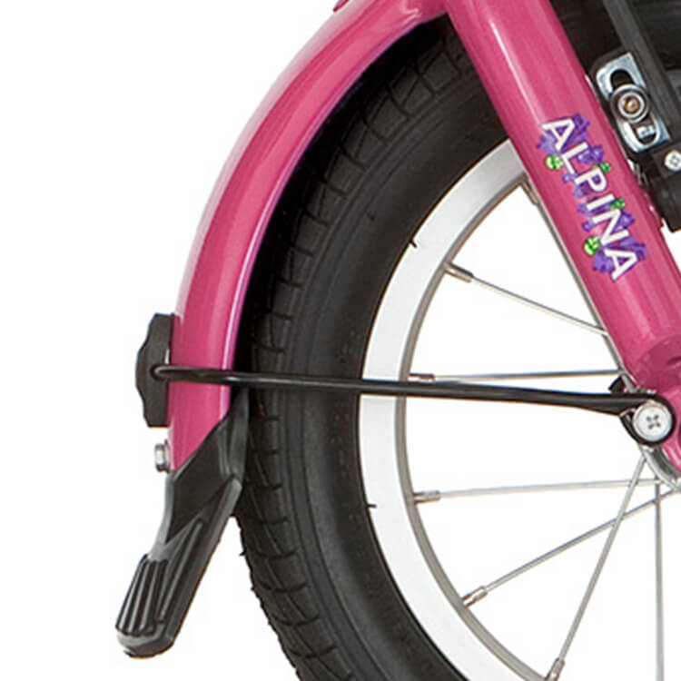 Alpina Fender set 12 rosa