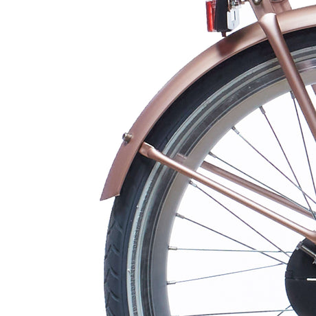 Alpina mudguard set + rod 20 clubb rose gold matt
