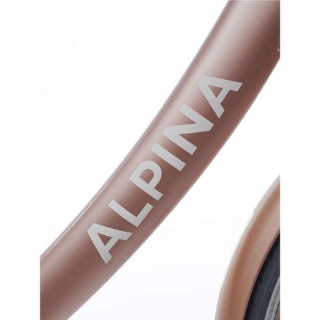 Alpina Clubb M20 Rose Gold