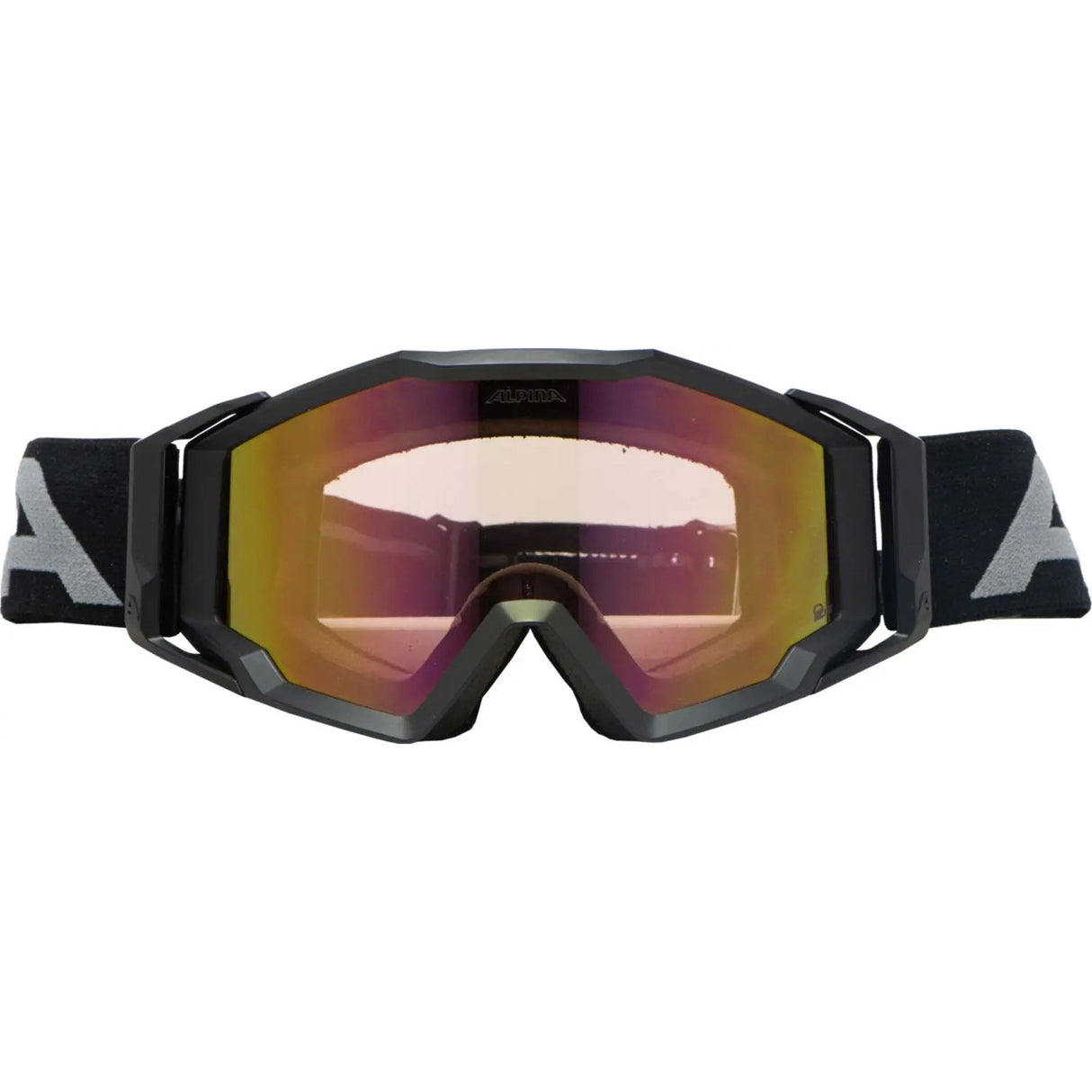 Alpina sports sports glasses circus q-lite matte black