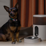 Aqara Pet Feeder C1