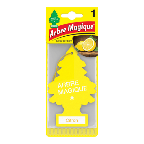 Arbre magique Zitroun