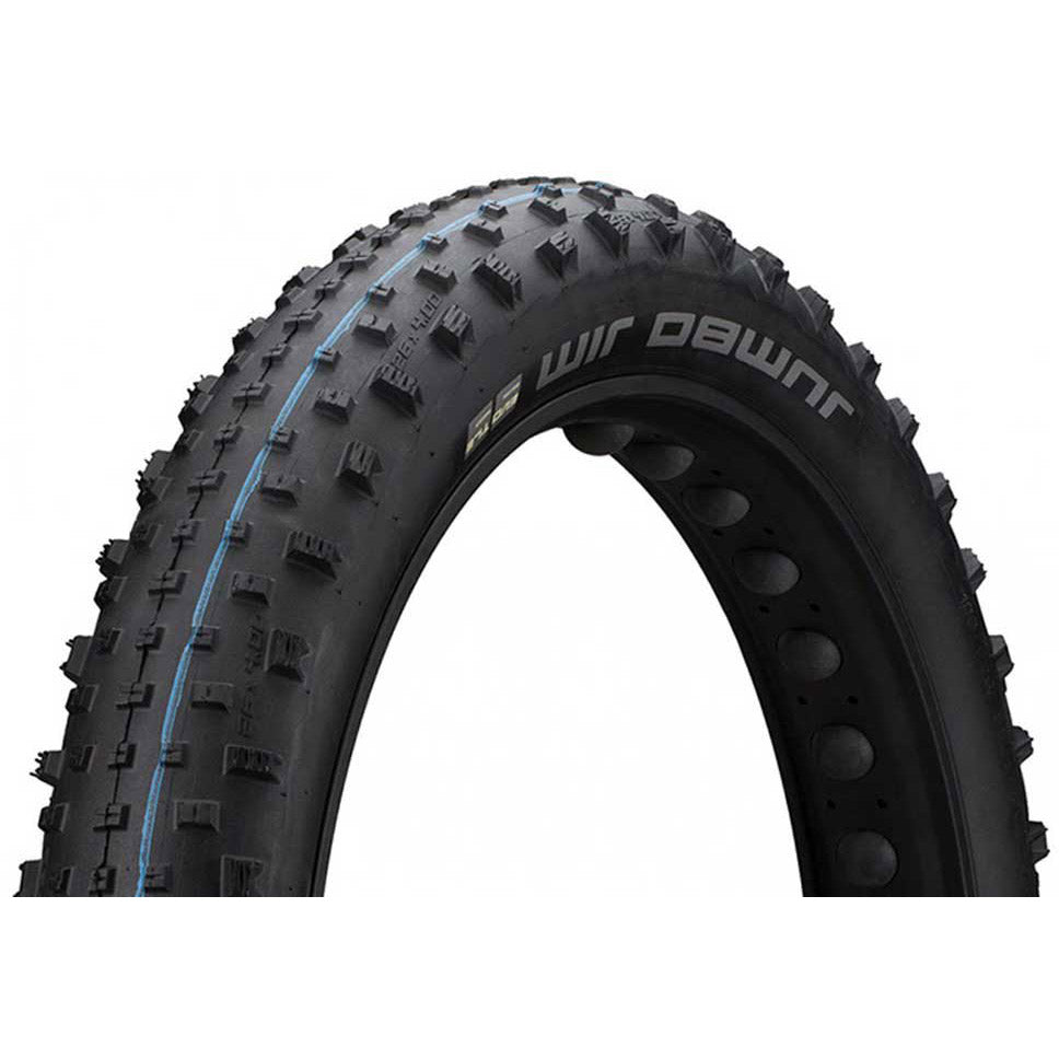 Schwalbe Buitenband 26-4.00 (100-559) Jim Evolution zwart vw