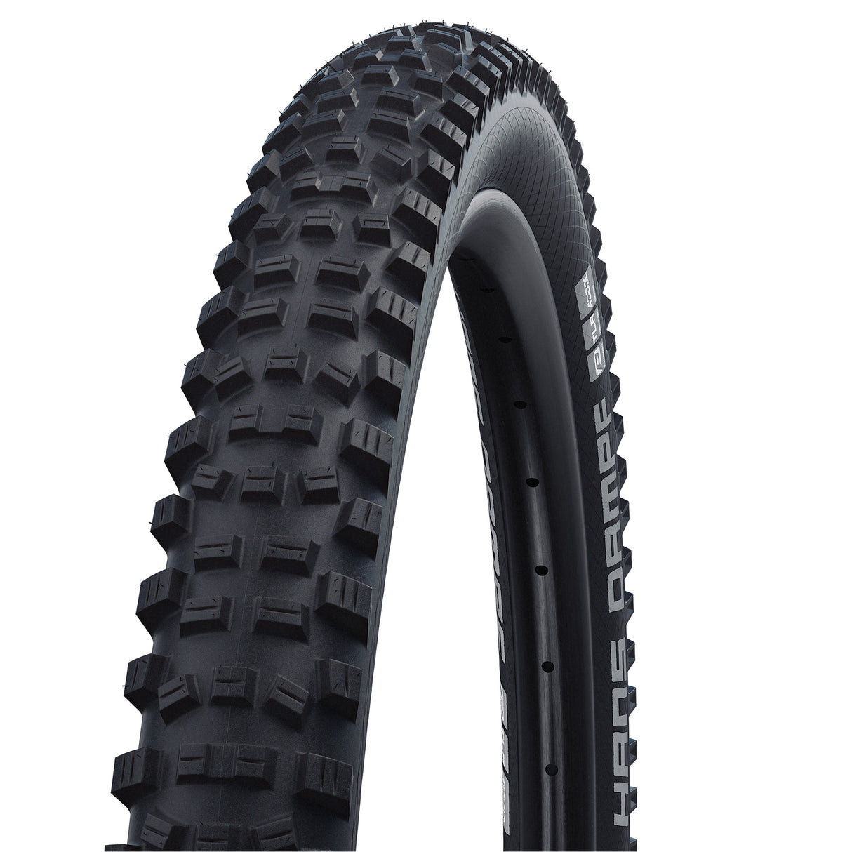 Schwalbe esterno 24-2.35 (60-507) Hans dampf perfomance sw vw