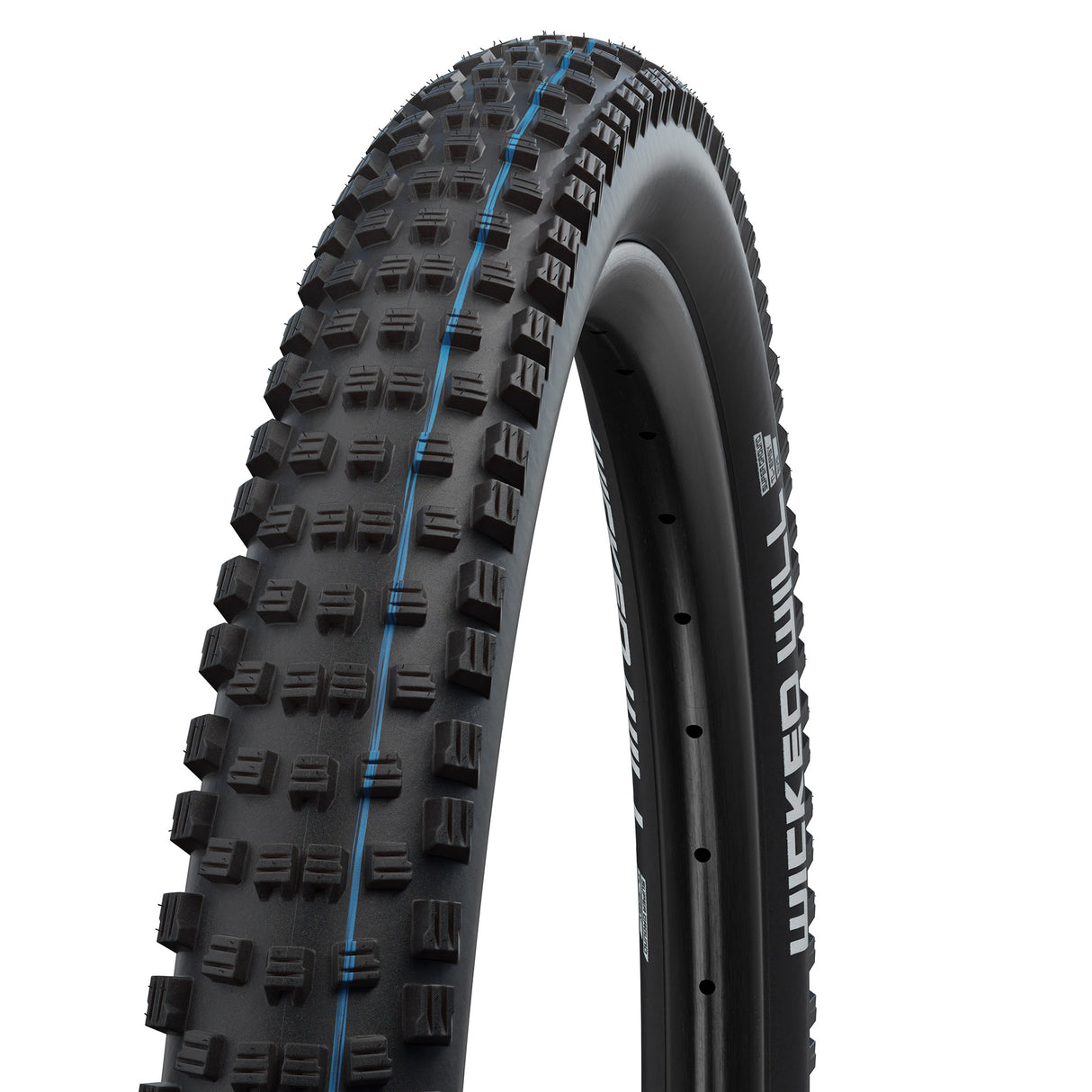 Schwalbe Buitenband 29-2.25 (57-622) Will EVO SuperG E50 zw.