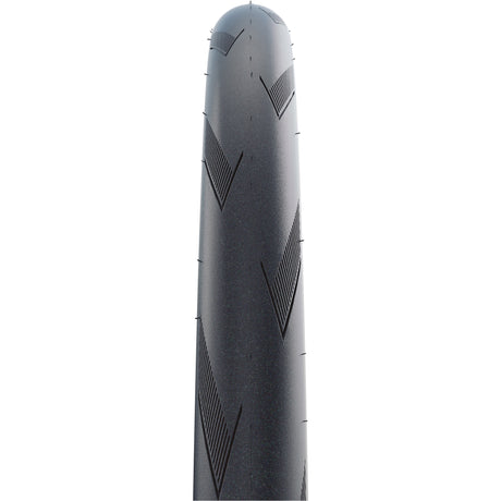 Schwalbe Tire Pro um 28 x 1,20 SW dobra