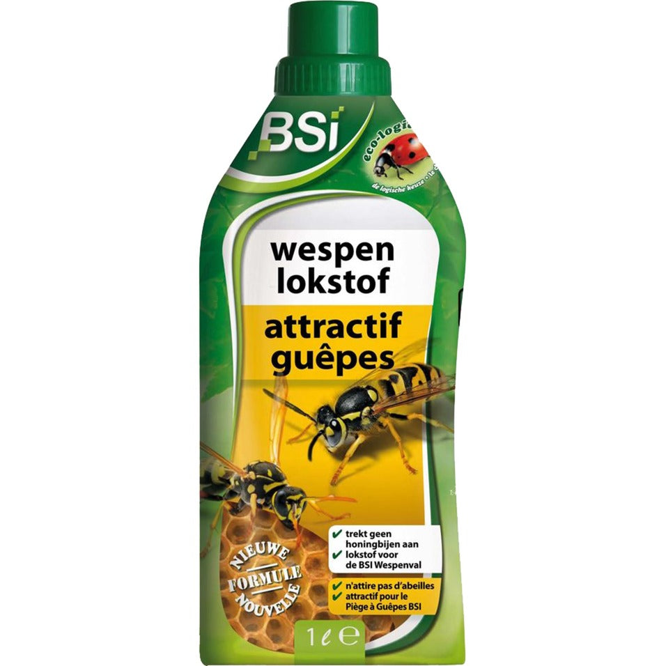 BSI WASPS LOCACH