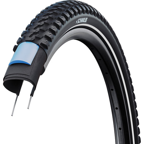 Schwalbe