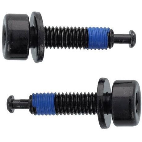 Bulloni Elvedes flat mount 1 coppia m5 � 23mm con terminale Shimano