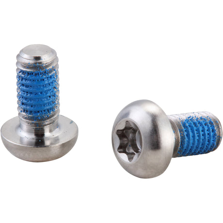 Elvedes Rotorboutjes Torx Titanium (6) CP2015153