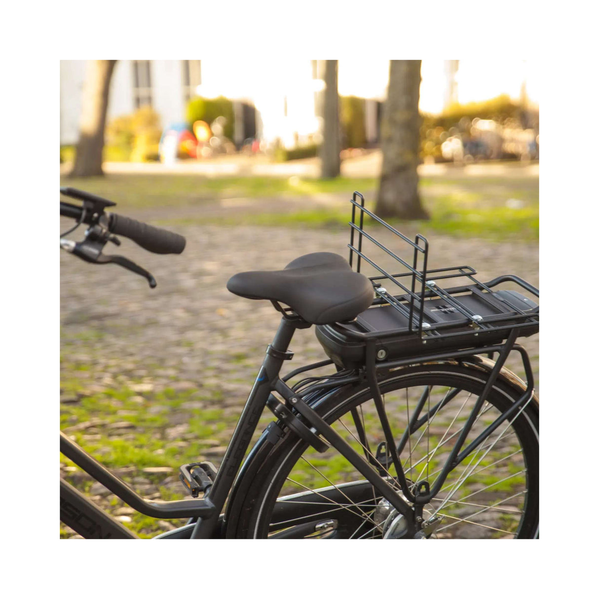 luggage rack crate with black spider