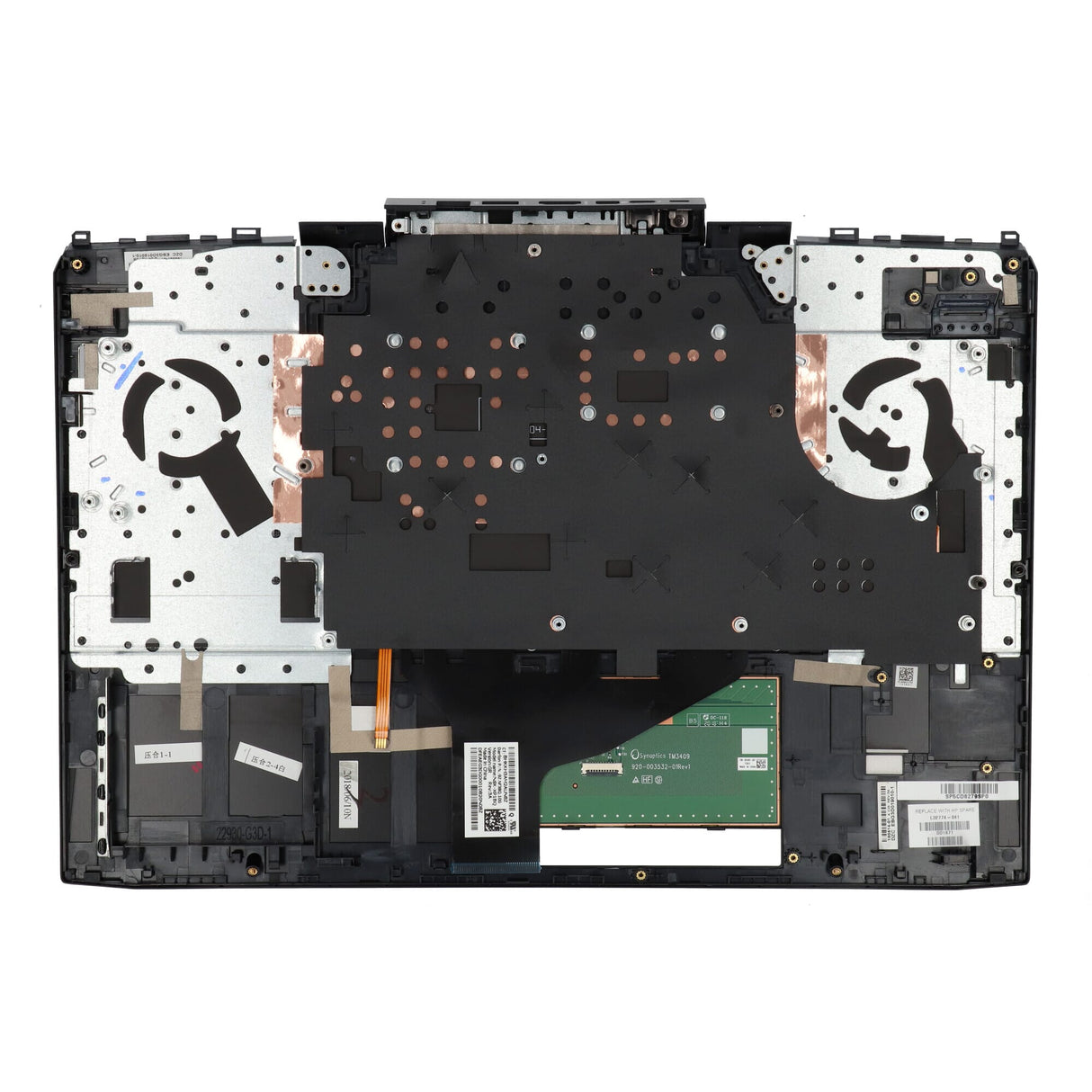 HP -