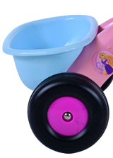 Disney Tricycle Girls Pink