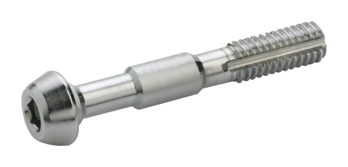 Elvedes śruby banjo do shimano (2szt)