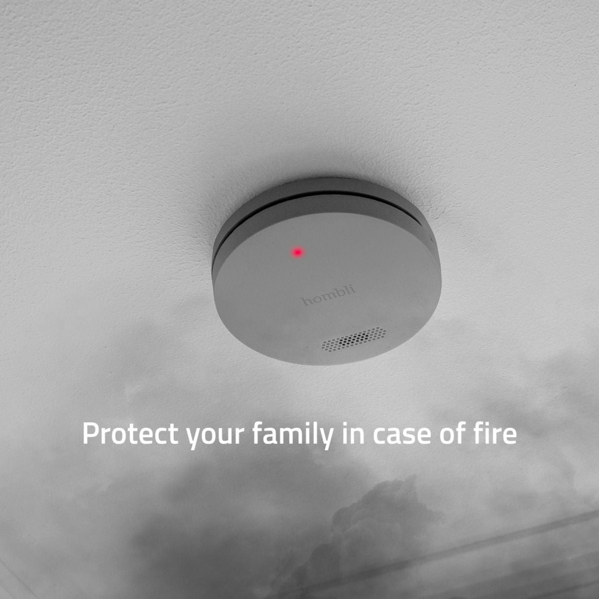 Hombli Smoke Detector