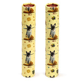 Lisa parker hocus pocus cat large drawing tube 12 colored pencils