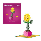 Plus plus växtpaket - solros plus-plus blommor växter (4340)