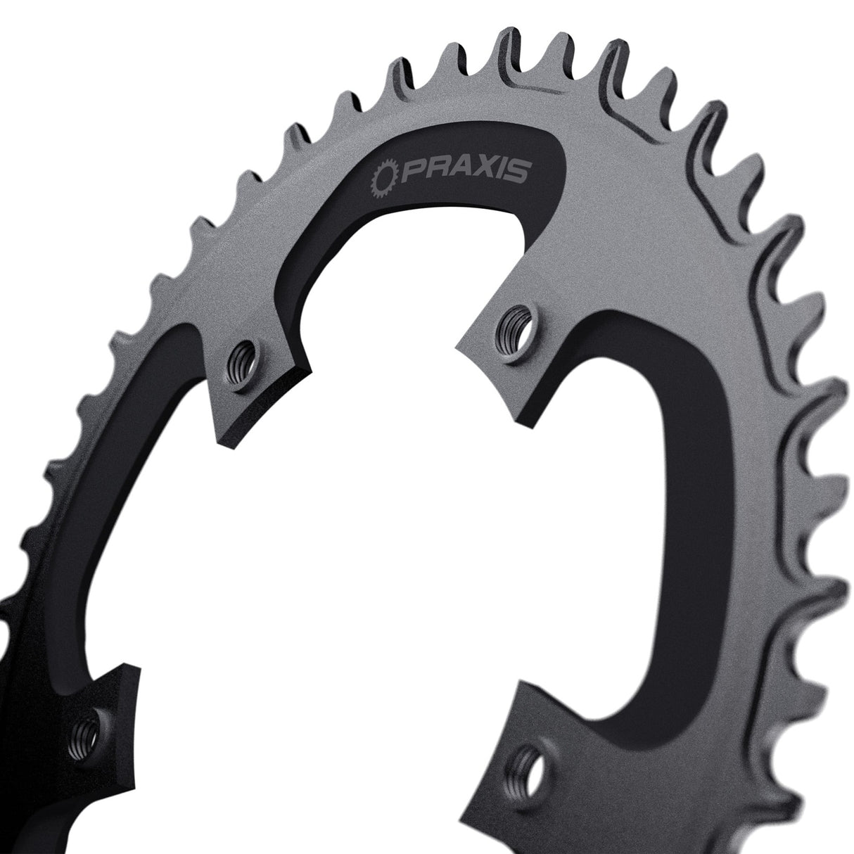 Praxis chainring 1x e-ring 110bcd m8 46t