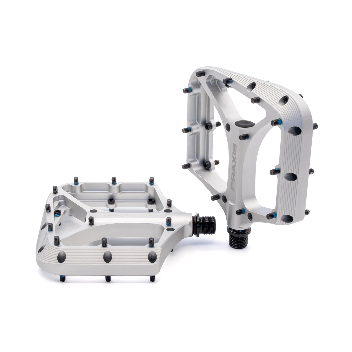 Praxis pedalen brodium g2 zilver