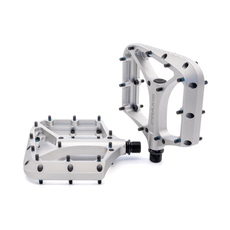 Praxis pedalen brodium g2 zilver