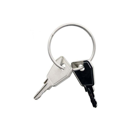 Thule yepp raktas nexxt p2 2 gabalėliai