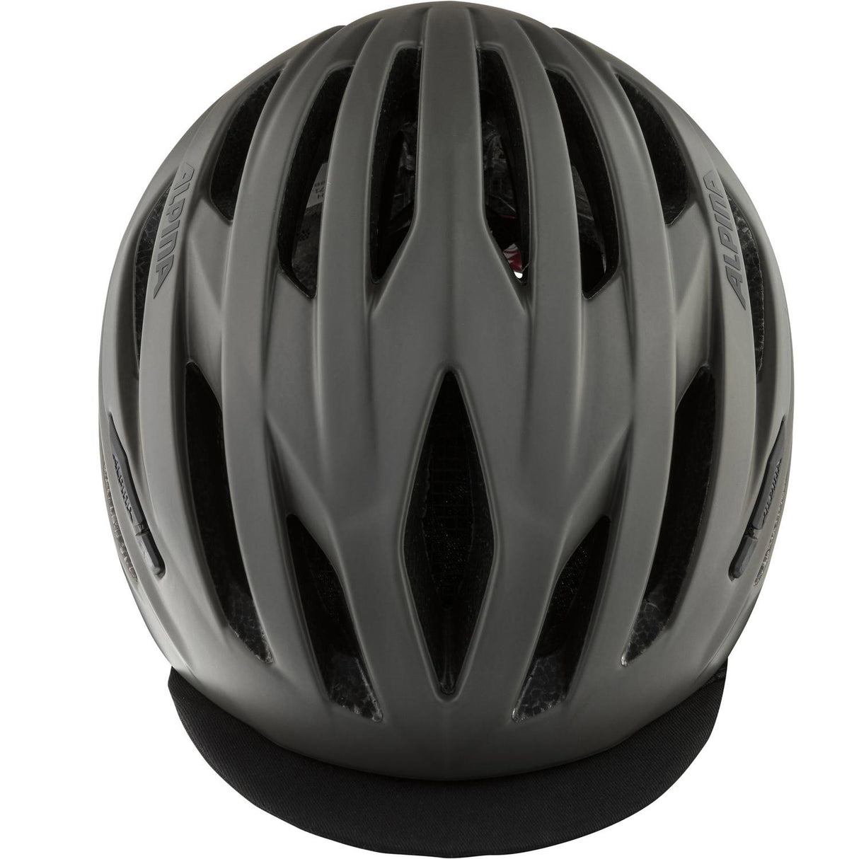 Alpina Sports Race Helmet Path 55-59 Matte Gray