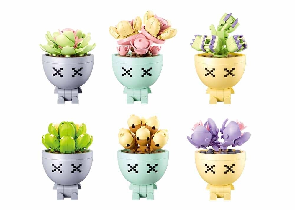 Sluban Dëppeplanzen succulant (m38-b1076) Display