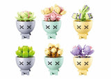 Sluban Dëppeplanzen succulant (m38-b1076) Display