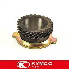 Kymco odometro kirminas Djy