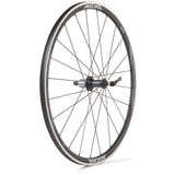 Miche wheelset syntium axy gray campa