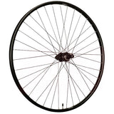 Roland Tylne Wheel 28 Rival21 FHM6000