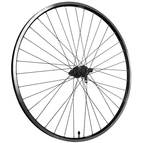 Roland zadnje kolo 28 Zac19 FHQC400 Črne Spokes