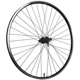 Roland zadnje kolo 28 Zac19 FHQC400 Črne Spokes