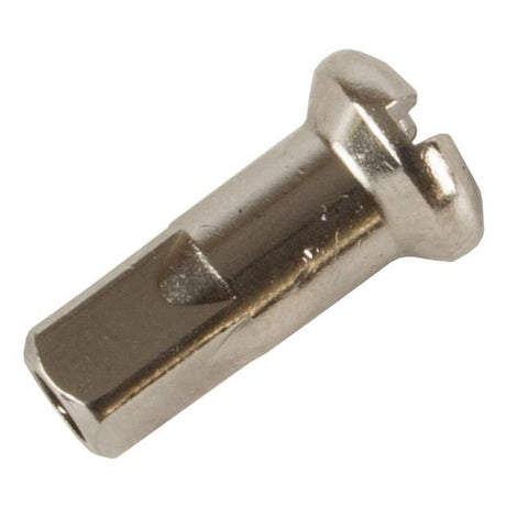 Alpina Spuer Trace Nippel Rim 14 Spaak 13 Messing (1000st)